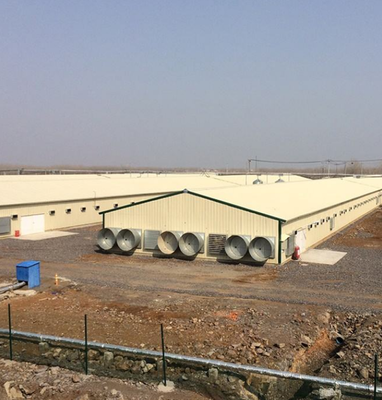 Modern Poultry Farm Chicken Farm Steel Structure Building Light Steel Structure Poultry