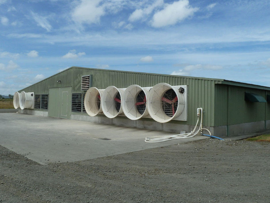Modern Poultry Farm Chicken Farm Steel Structure Building Light Steel Structure Poultry