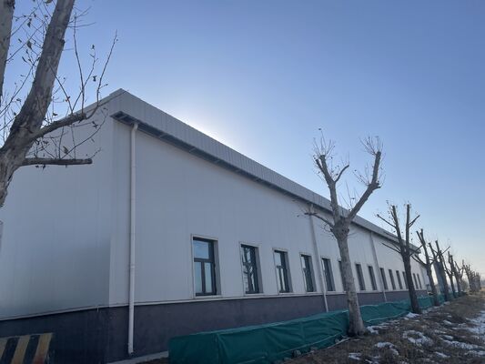 Hoge sterkte H-balk stalen structuur workshop prefab industriële metalen gebouw met vuurvaste paneeloptie