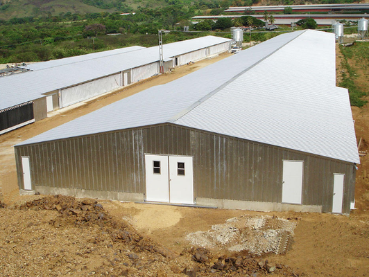 Modern Poultry Farm Chicken Farm Steel Structure Building Light Steel Structure Poultry