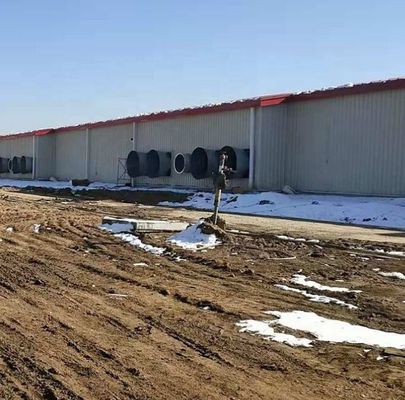 Energiezuinige staalconstructie Varkenshouderij / Varkenshuis / Varkenshuis